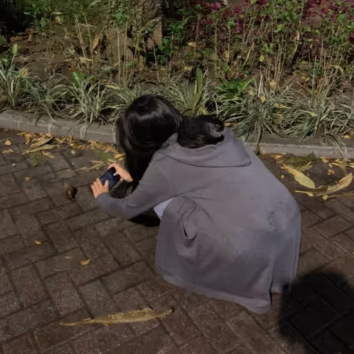 紅馬